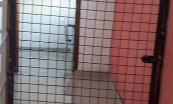 Imagem 2: Casas em Arraial Paulista