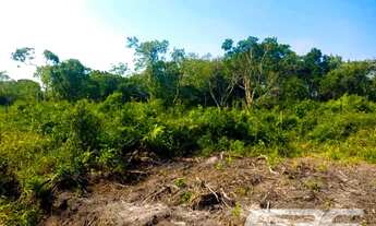 Imagem 5: Terreno | Balneário Barra do Sul