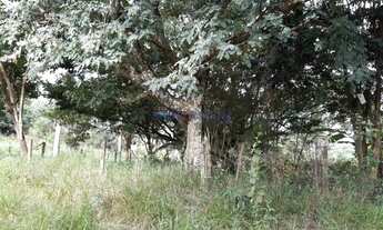 Imagem 7: Terreno - Jardim Monte Belo - Campinas