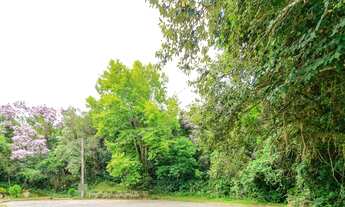 Imagem 2: Terreno/lote residencial residencial para venda, Ipanema, Porto Alegre - TE0377