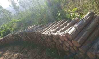 Imagem 7: Sítio com 1 dormitório à venda, 90000 m² por R$ 400.000 - Timbé do Sul/Santa Catarina