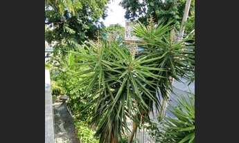 Imagem 6: APARTAMENTO LINDO JD OCEÂNICO