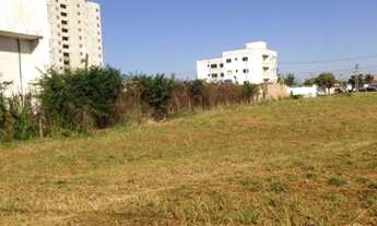 Imagem: UBERLâNDIA - Terreno Padrão - Jardim Patrícia