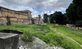 Imagem 7: Ponto Comercial - Avenida Tefe - Raiz