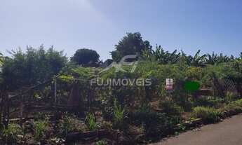 Imagem 3: NOVA ESPERANÇA - TERRENO PADRÃO - JD SANTA MÔNICA