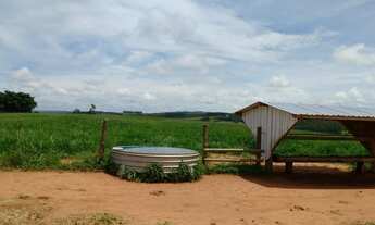 Imagem 4: FAZENDA 175 ALQ, PASTO COM APTIDÃO PARA CAFÉ OU GRÃOS - Sul de Minas Gerais