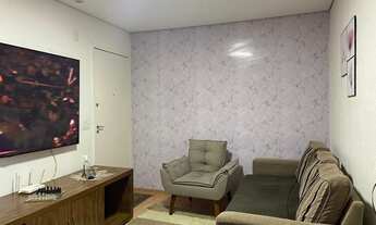 Imagem 3: CONTAGEM - Padrão - Arvoredo I