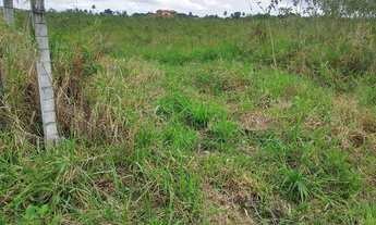 Imagem 4: Terreno em salgado Se