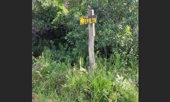 Imagem 6: Chácaras lotes 10 alqueires valor 800.000.00