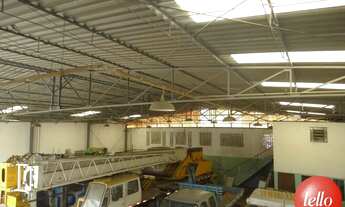 Imagem: São Paulo - Galpão/Depósito/Armazém