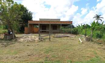 Imagem: Vendo ótima chácara