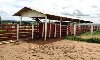 Imagem 2: FAZENDA 175 ALQ, PASTO COM APTIDÃO PARA CAFÉ OU GRÃOS - Sul de Minas Gerais