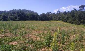 Imagem 2: 2km do asfalto topografia plana em sp - chacara