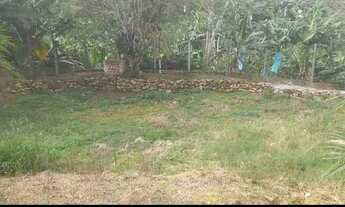 Imagem 4: Vende-se lindo sitio em corupa