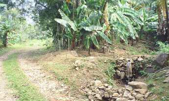 Imagem: Sitio em Pirabeiraba /Joinville. Vendo ou