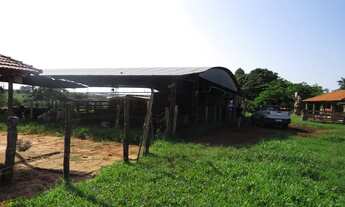 Imagem 5: Fazenda 50 alqueirao em Campina Verde- so 130 o alq- preco top demais ac troca sitio SP