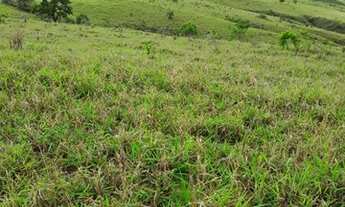Imagem 5: Fazenda - Cocalzinho de Goiás - 158 alqueires - Toda formada - C/ Bastante água