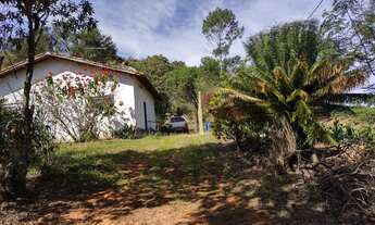 Imagem 5: Sítio de 5 alqueries - Café -Pasto