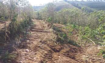 Imagem 5: Fazenda de café orgânico no sul de Minas