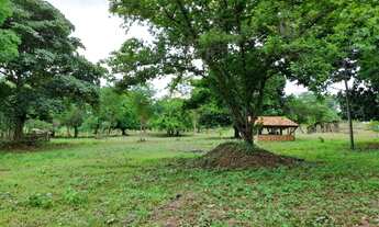 Imagem 6: Fazenda de 181 hectare em Várzea Grande