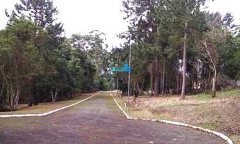 Imagem 5: Florianópolis - Terreno Padrão - Ratones