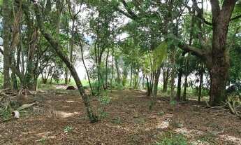 Imagem 4: Chácara à Venda na Represa de Piracaia - Saída Exclusiva para água