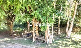 Imagem 4: Terreno para Venda em Teresópolis, Vargem Grande, 1 vaga