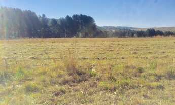 Imagem 3: Terreno Rural 798.600,00m² São Luiz do Purunã