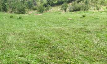 Imagem 5: VENDO TERRENOS EM SANTA ISABEL!