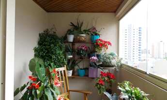 Imagem 5: Apartamento Bairro Assunção - 4 Dormitórios, suites, Sala Ampla, Cozinha , 3 vagas - Mobil