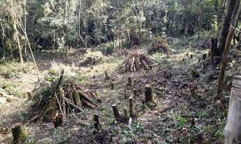 Imagem 5: Vende - se Sítio em Juquitiba