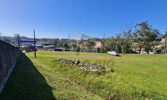 Imagem 9: SAO PAULO - Terreno Padrão - Colônia (Zona Leste