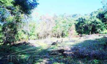 Imagem 7: Área no Prumirim, bem localizada, 80% plana, 105 mil m2