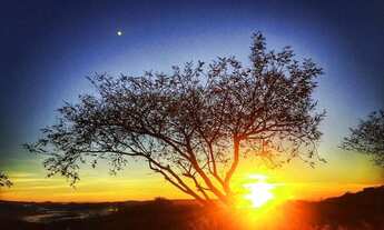 Imagem 2: CASA IMPAR ALTÍSSIMO PADRÃO