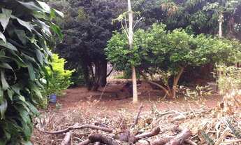 Imagem 3: Terreno comercial à venda, Jardim Bela Vista, Valinhos