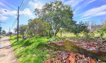 Imagem 5: Vendas Área São José Dos Pinhais PR