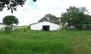 Imagem 7: Imovel Rural de 177 hectares com plantação de coqueiros e ampla casa com piscina