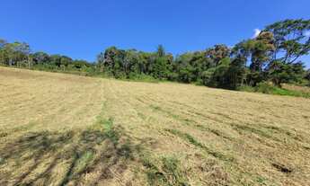 Imagem 3: São Lourenço da Serra - Terreno Padrão - Barrinha