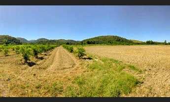 Imagem 4: Área de 23 hectares para venda em Piabetá