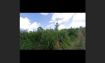 Imagem 3: Sitio em Manoel urbano documento *titulo