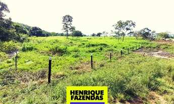 Imagem: Fazenda 33 alqueires Paraíso