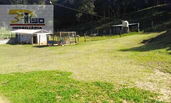 Imagem 2: Sítio em Centro - Pinhalzinho