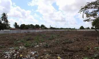 Imagem 9: Terreno para Venda em São Gonçalo do Amarante, Jardins
