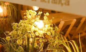 Imagem: Vendo empório e franquia