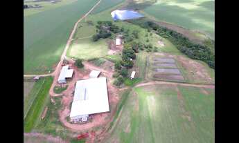 Imagem 2: Fazenda de 865 ha Em Antônio João - MS