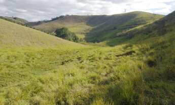 Imagem 6: Propriedade 4 alqueires