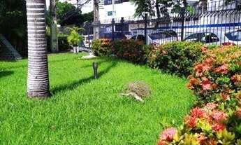 Imagem 3: Venda - Apartamento 3 quartos em Casa Amarela