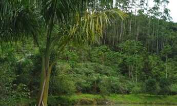 Imagem 6: Área Rural para Venda em Nova Trento / SC no bairro Serravel