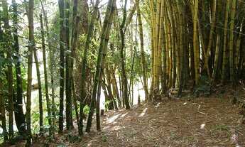 Imagem 6: Chácara em Jundiaí/SP - Bairro dos Fernandes - Lindo Lugar