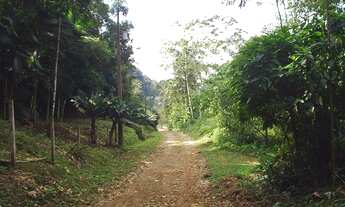 Imagem 2: Sitio em Pirabeiraba /Joinville. Vendo ou troco